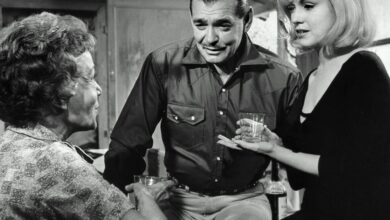 Book Review: ‘Sucker Punch,’ by Scaachi Koul; ‘No Fault,’ by Haley Mlotek