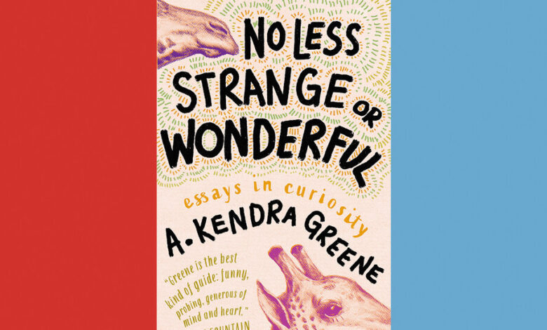 Book Review: ‘No Less Strange or Wonderful’ by A. kendra Greene Book Review: ‘No Less Strange or Wonderful’ by A. kendra Greene