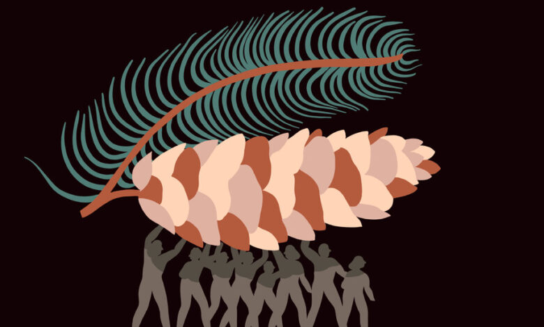Book Review: ‘The Colony,’ by Annika Norlin Book Review: ‘The Colony,’ by Annika Norlin