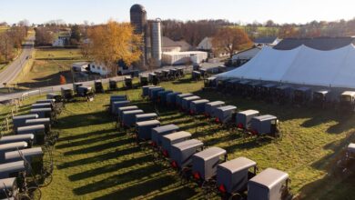 Author to release book on Amish wedding celebrations, customs [Q&A] |