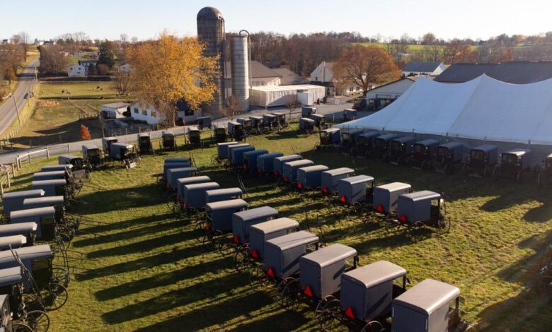 Author to release book on Amish wedding celebrations, customs [Q&A] |