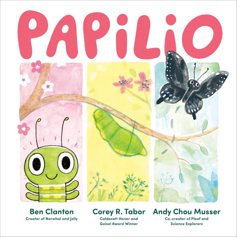 Papilio book cover