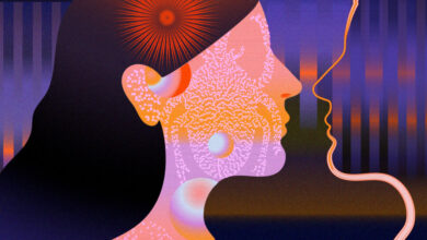 Book Review: ‘The Dream Hotel,’ by Laila Lalami