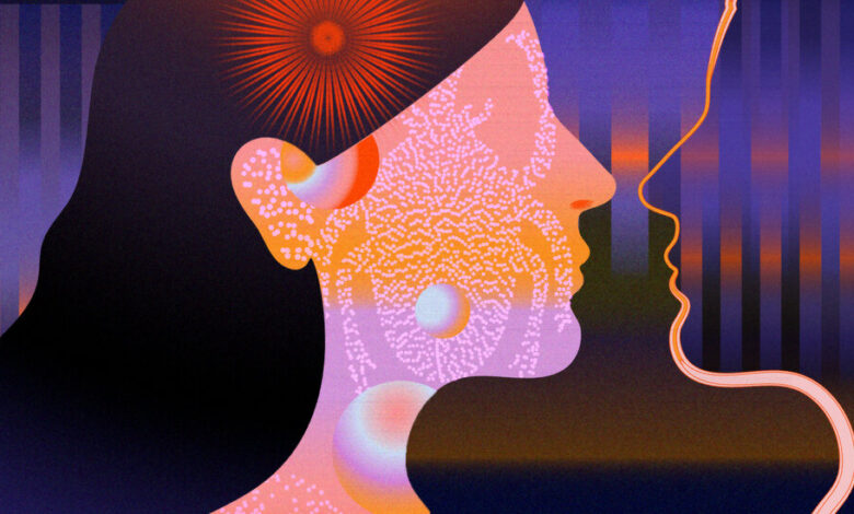 Book Review: ‘The Dream Hotel,’ by Laila Lalami Book Review: ‘The Dream Hotel,’ by Laila Lalami