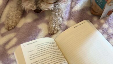 Local author and furry friends featured in latest edition of ‘Chicken Soup for the Soul’