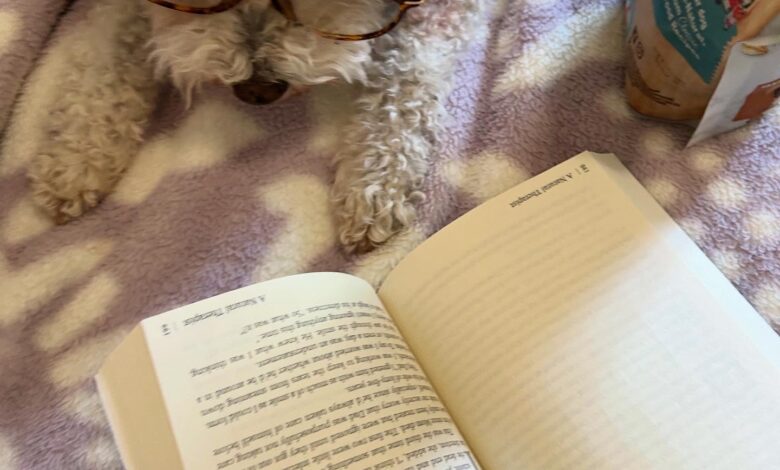 Local author and furry friends featured in latest edition of ‘Chicken Soup for the Soul’ Local author and furry friends featured in latest edition of ‘Chicken Soup for the Soul’