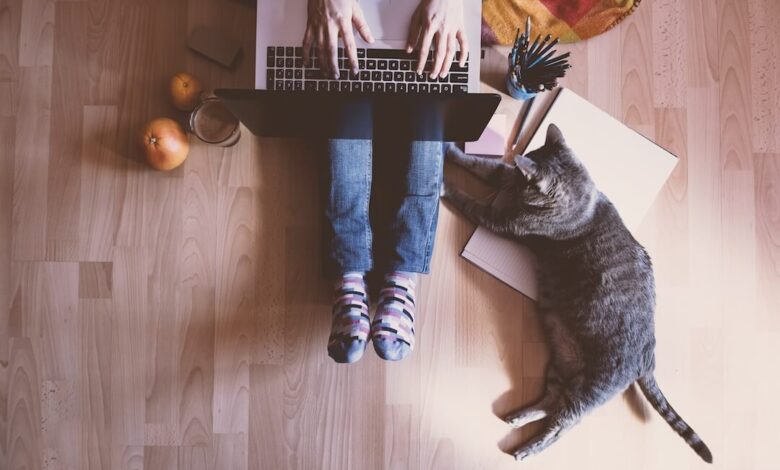 How can you make time for book writing? How can you make time for book writing?