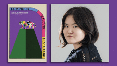 Luminous Author Silvia Park Needed To Find The Right Way To Tell This Story – debutiful