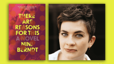 Nini Berdnt discusses There Are Reasons For This – debutiful