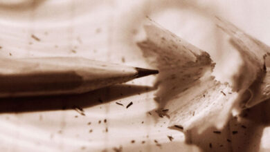 AI will never understand what makes writing great