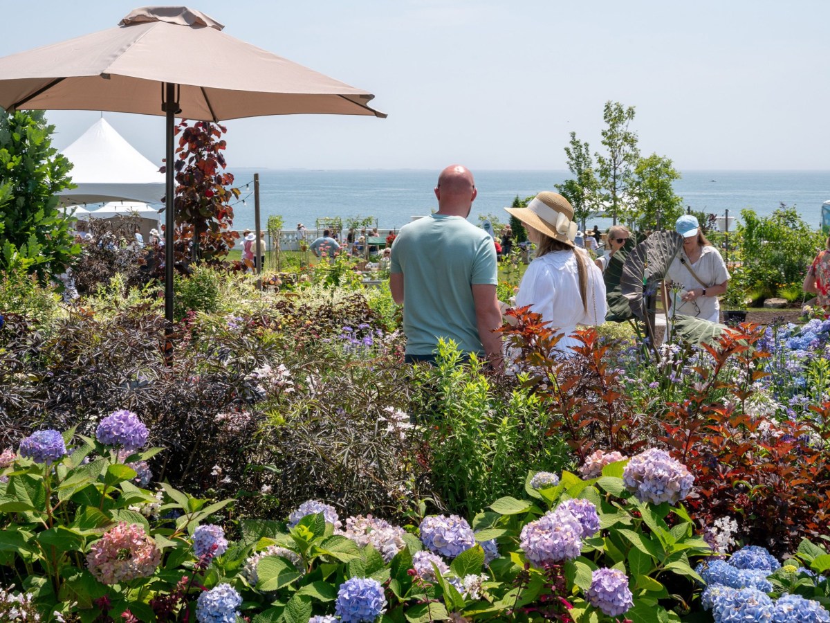 What’s Up in Newport County this weekend: June 20 – 22