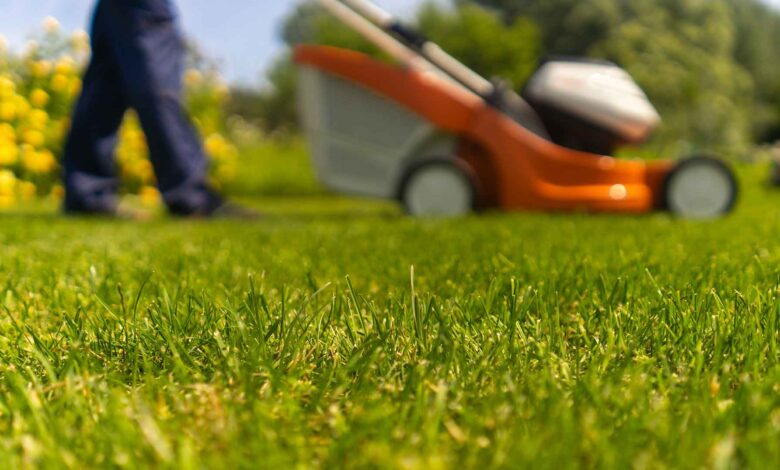 The Bookseller – Comment – Anthologies, class and the ‘lawnmower genre’ The Bookseller – Comment – Anthologies, class and the ‘lawnmower genre’
