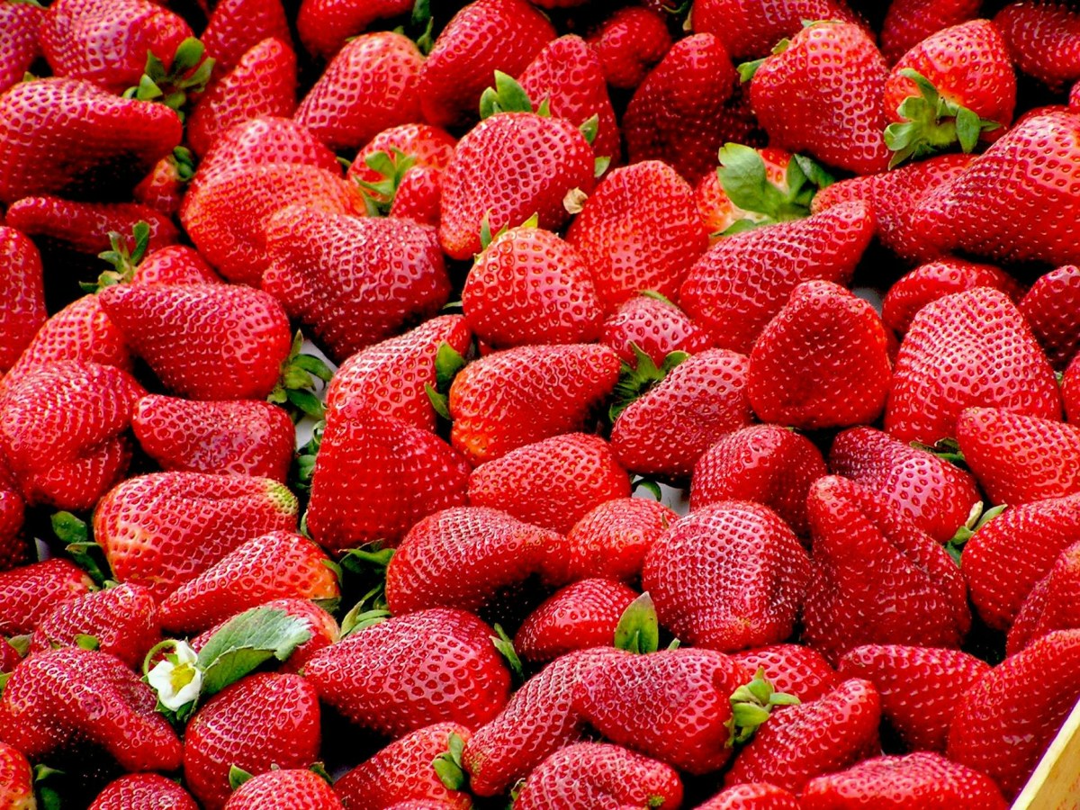 Trinity Church’s Annual Strawberry Festival returns on June 21