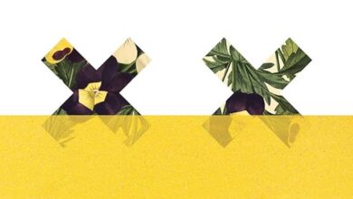 ‹ 5 Reviews You Need to Read This Week Book Marks