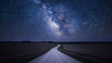 The Night Brandon Swanson Vanished: America’s Enduring Mystery