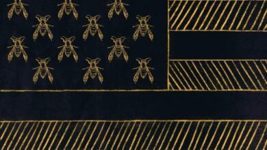 Author Lee Sato Announces Book Signings for “Hornet’s Nest”