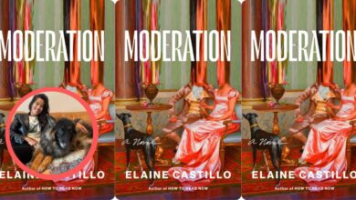 Mr. Darcy isn’t fiction’s hottest man, says ‘Moderation’ author Elaine Castillo – Orange County Register