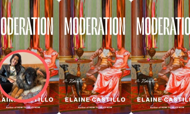 Mr. Darcy isn’t fiction’s hottest man, says ‘Moderation’ author Elaine Castillo – Orange County Register Mr. Darcy isn’t fiction’s hottest man, says ‘Moderation’ author Elaine Castillo – Orange County Register