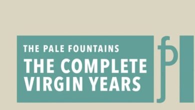 Music Reviews: Pale Fountains, the Kinks, the Feelies, Kissing Other Ppl