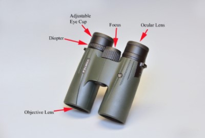 Diagram of a set of binoculars with the different parts labeled