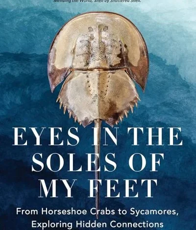 DPNC: Author Q&A: Eyes in the Soles of My Feet by Caroline Sutton