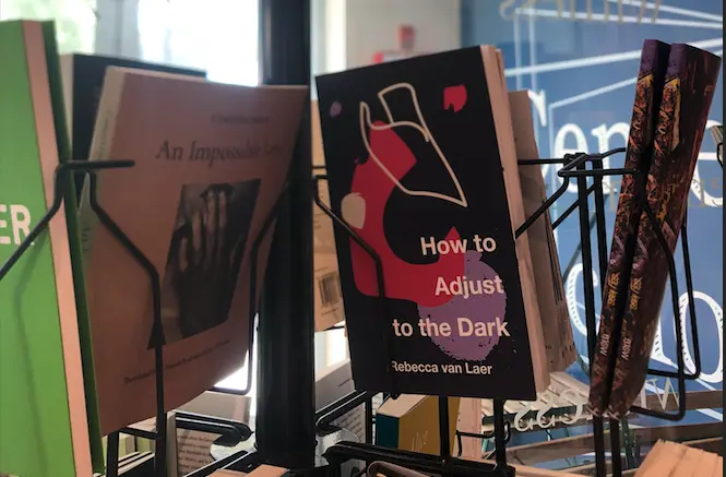 How to Get a Book Published – With Rebecca van Laer How to Get a Book Published – With Rebecca van Laer