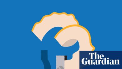 ‘I had a year to write it from scratch’: the 2025 Booker finalists on the stories behind their novels | Booker prize