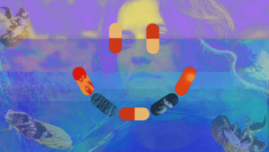 New Cli-Fi Novel Gropes for Happiness through the Dark of Texas Blackouts and Louisiana Heat – Deceleration New Cli-Fi Novel Gropes for Happiness through the Dark of Texas Blackouts and Louisiana Heat – Deceleration