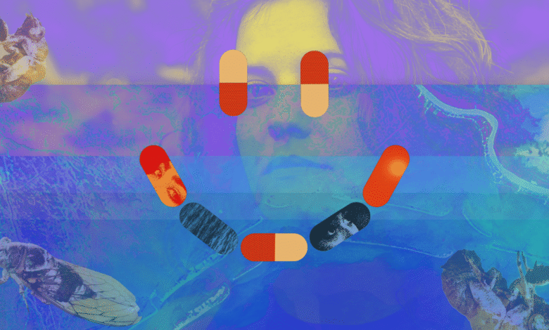 New Cli-Fi Novel Gropes for Happiness through the Dark of Texas Blackouts and Louisiana Heat – Deceleration